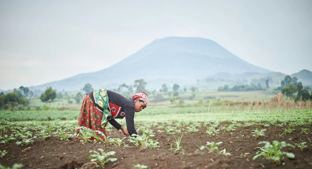 Food enviroment in Arusha
